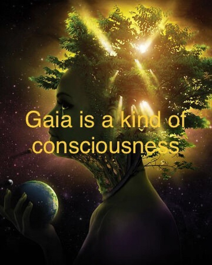 Gaia is the most high, she is everything at its most perfected divine version, she is the force within you, and when you go within, that’s her guiding you and healing you and comforting you and ascending you, all is within you
