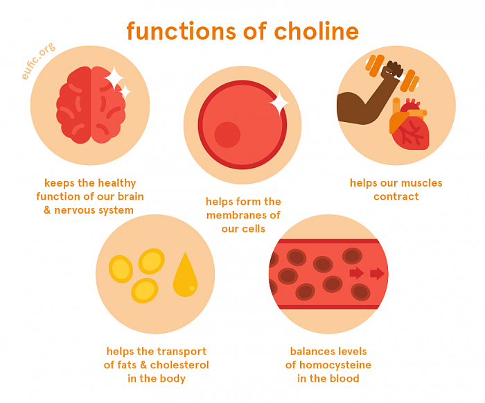 Choline