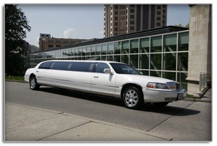 In your spiritual journey, you have a huge limo directing you, and this limo is full of your spirit guides from heaven , and the problem is , you are worried that they are taking you the wrong way , but let go , and just see what happens.  I use limo as a metaphor