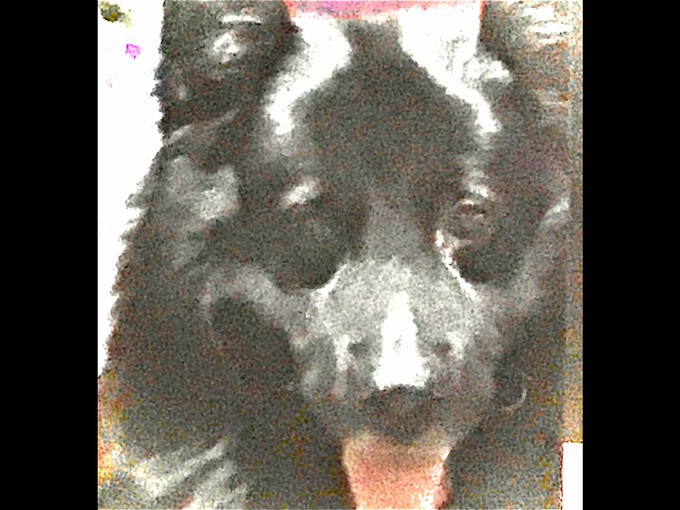 My baby Bobby he’s 9 years old but he is in good health, loves long walks