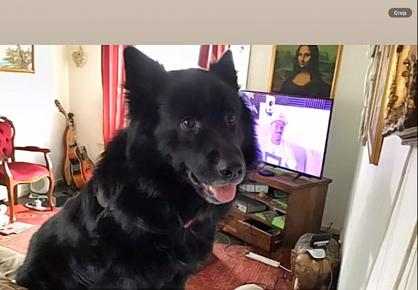 There is only one soul that will love you more than life itself, and that’s your dog 🐕